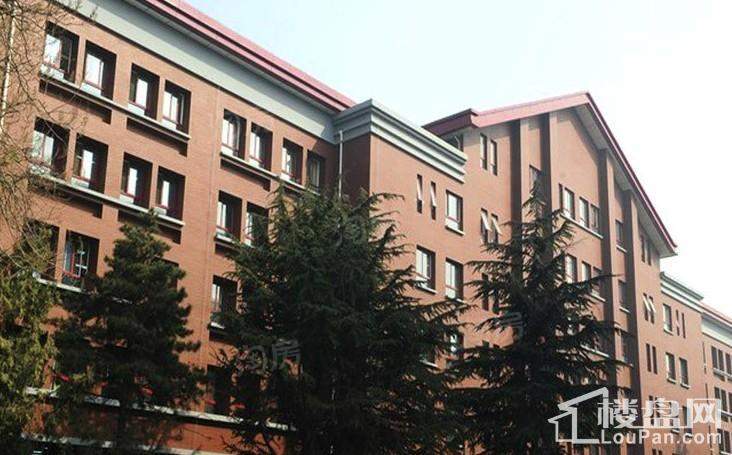 效果图