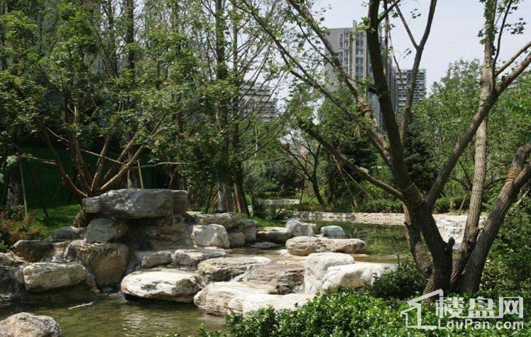 实景图