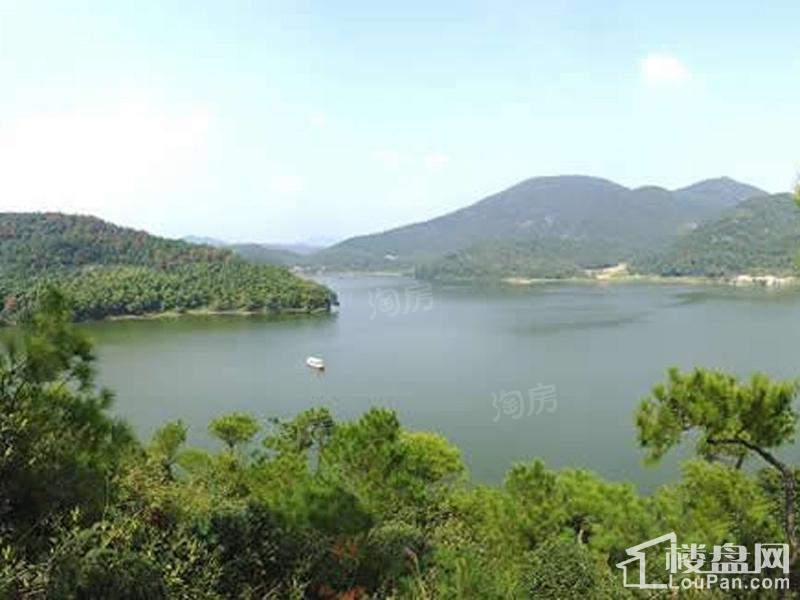 荪湖旅游区地块实景图