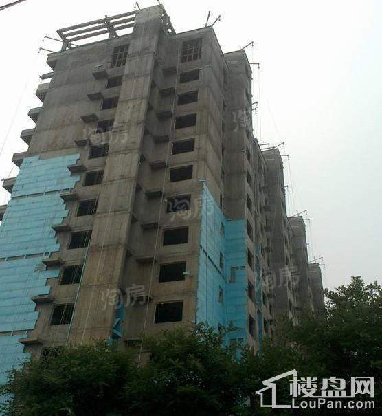 花雨汀实景图