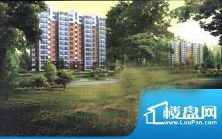 金色龙泉配套图