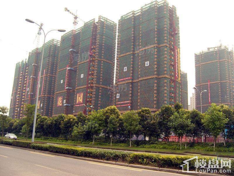 奥丽赛凤凰水岸商铺配套图