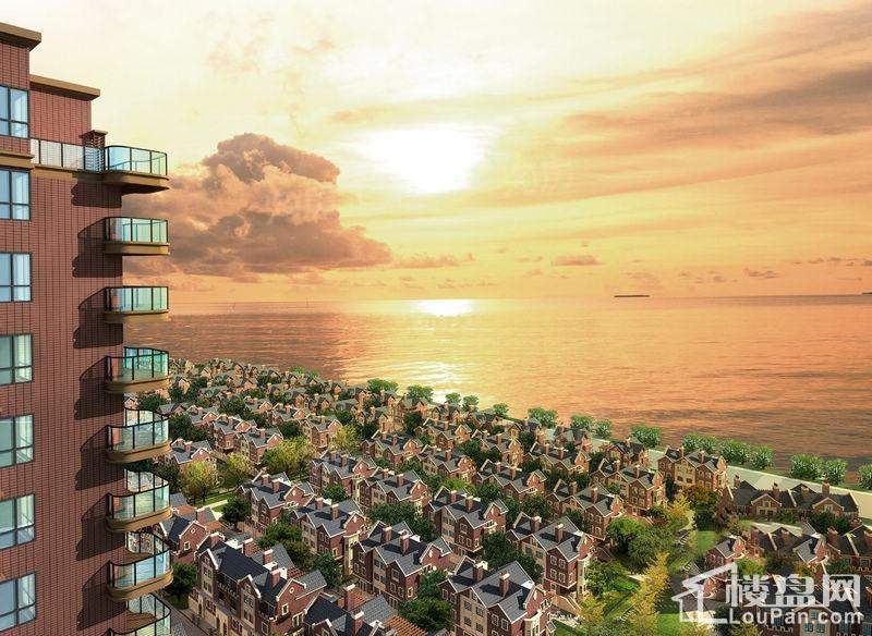 森海豪庭效果图