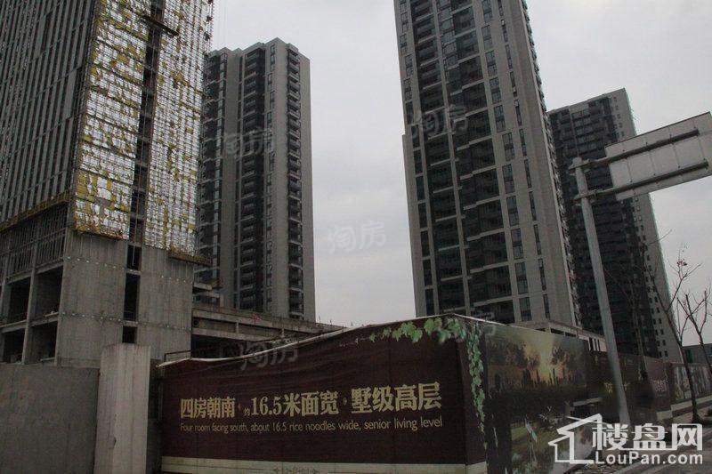 四季云顶实景图