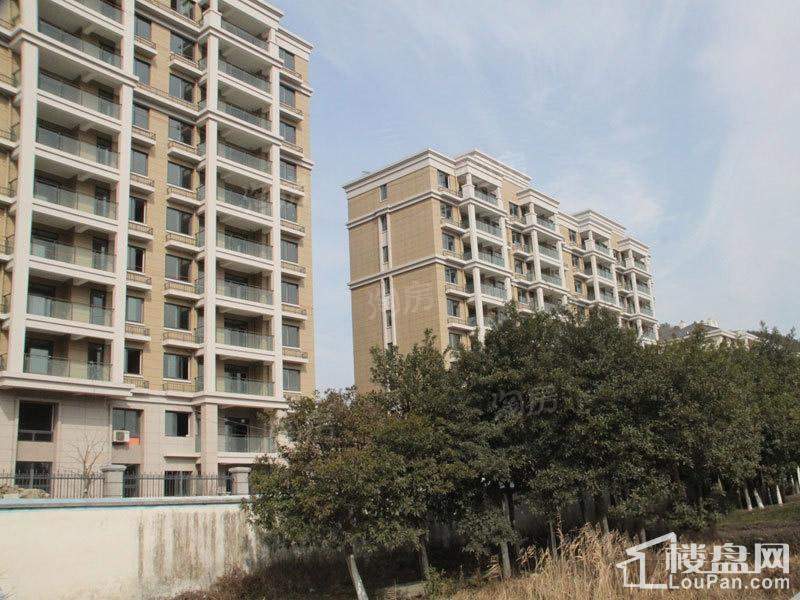 紫悦馨园实景图