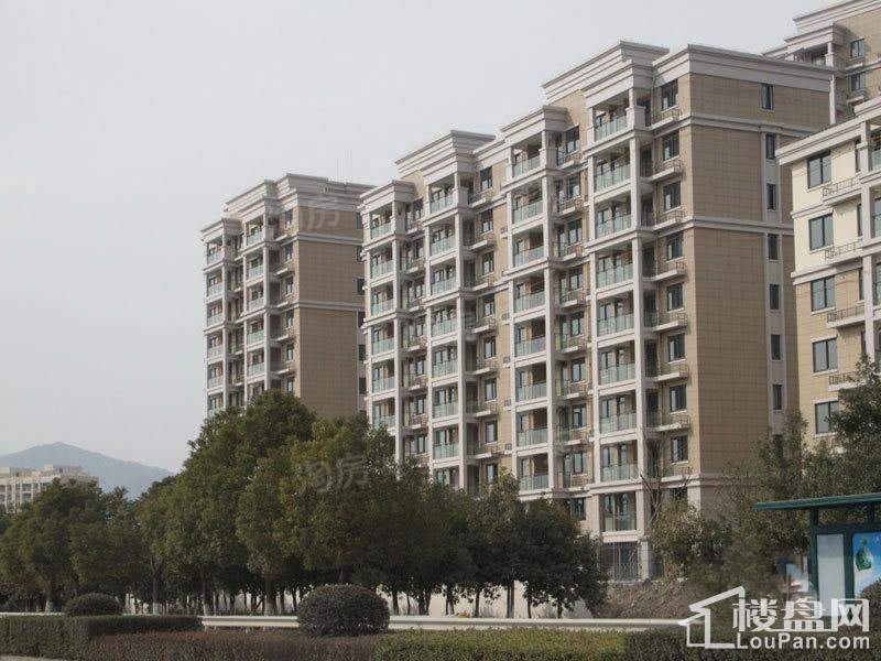 紫悦馨园实景图