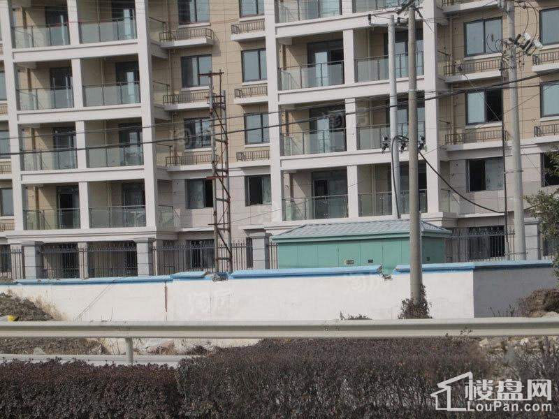 紫悦馨园实景图