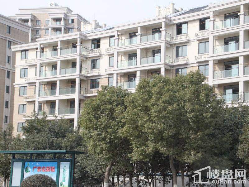 紫悦馨园实景图