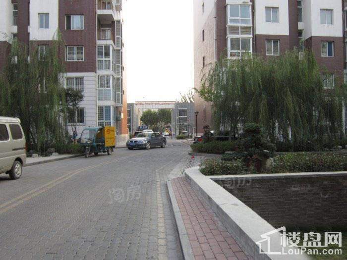 格调阳光实景图
