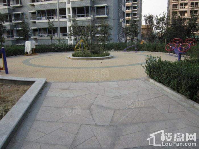 格调阳光实景图