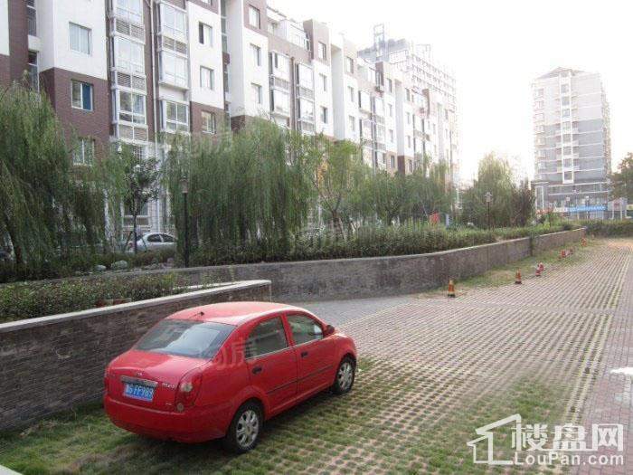 格调阳光实景图