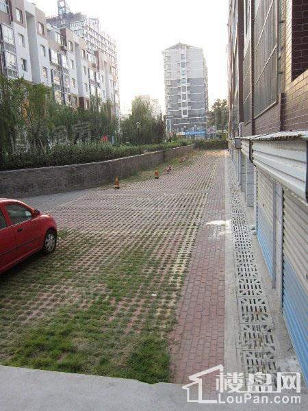 格调阳光实景图