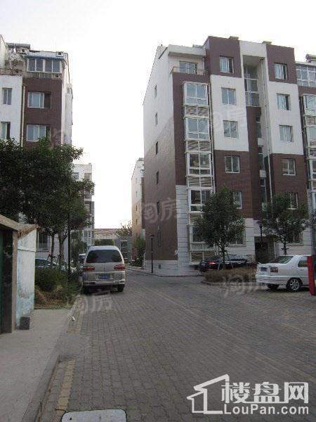 格调阳光实景图