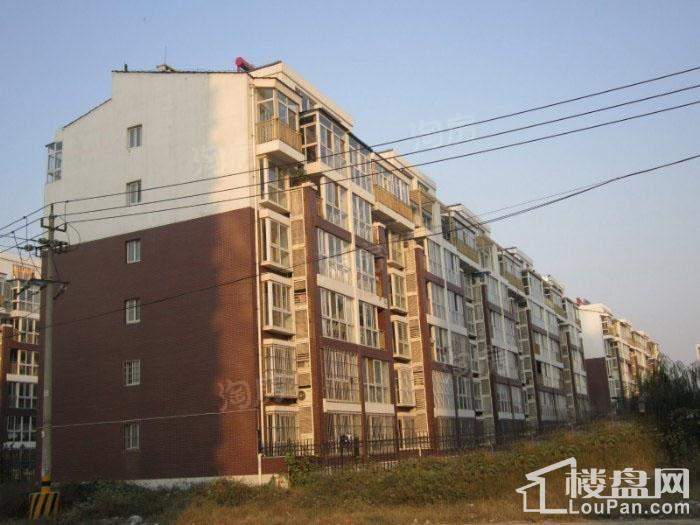 格调阳光实景图