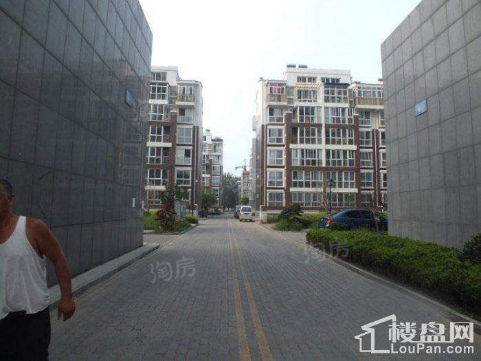 格调阳光实景图