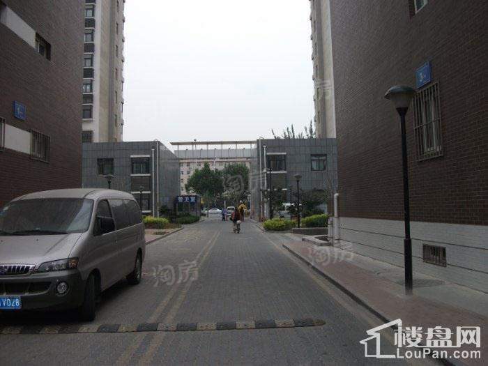 格调阳光实景图