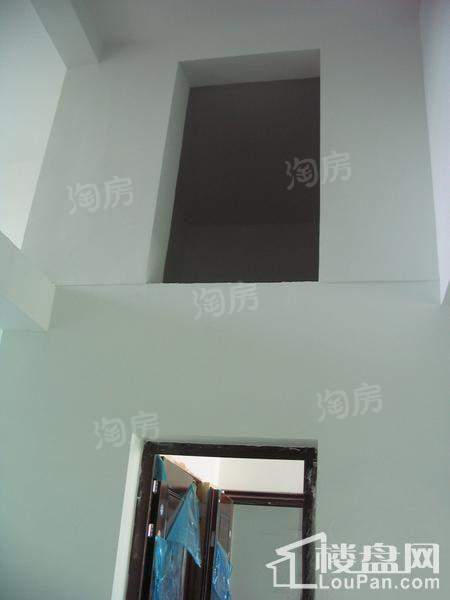 格调阳光实景图