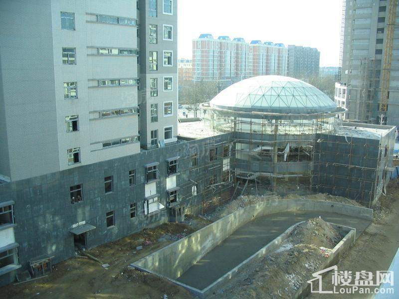 格调阳光实景图