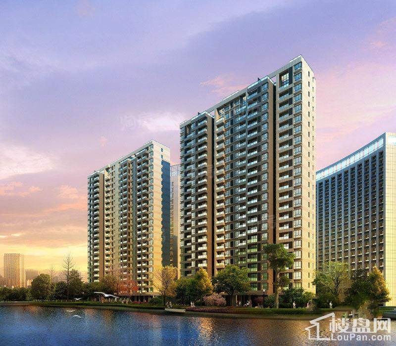 郁金香中心效果图