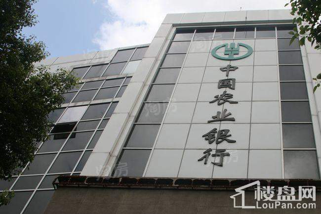 郁金香中心配套图