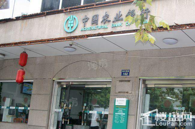 郁金香中心配套图