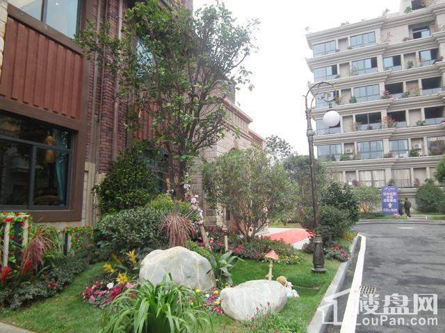 花溪碧桂园实景图