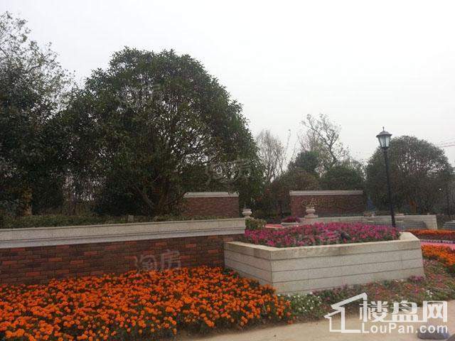 绿地泰晤士新城实景图