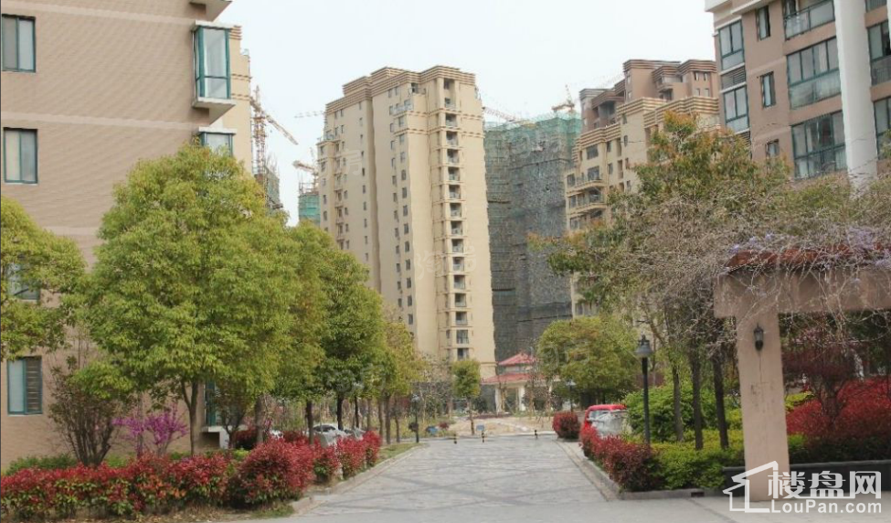 实景图