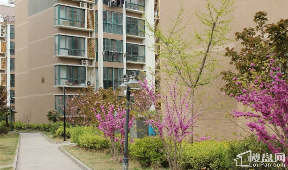 河畔花城实景图