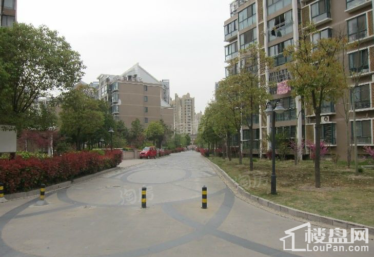 河畔花城实景图