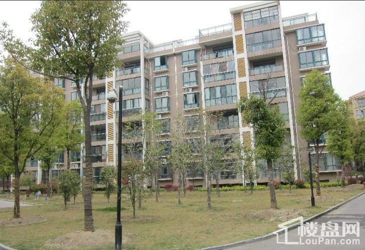 河畔花城实景图