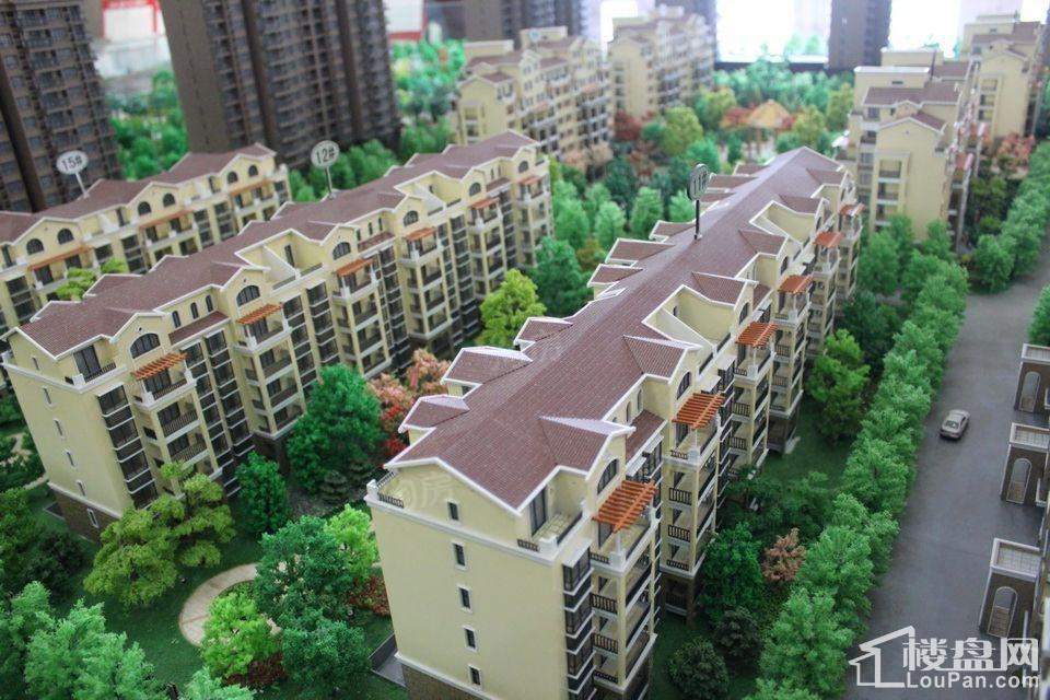 九龙湖·金泽苑效果图