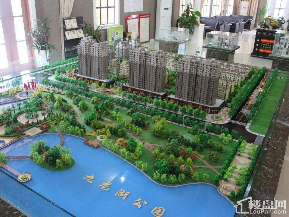 九龙湖·金泽苑效果图