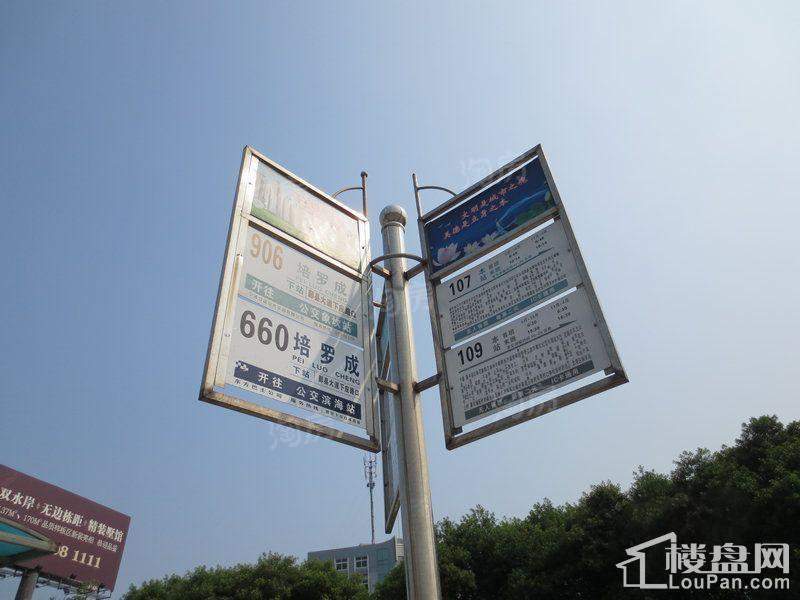 荣安蝶园配套图