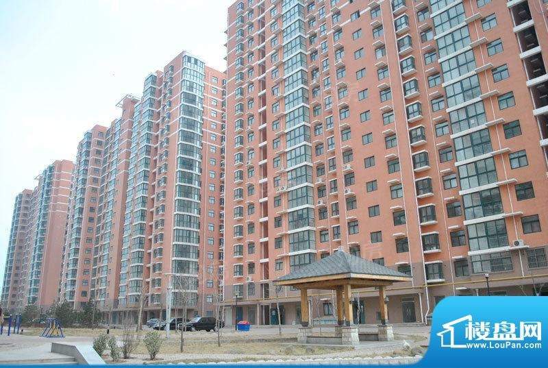 滨海新城实景图
