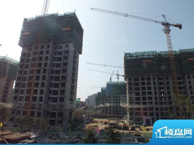 远洋海世纪实景图