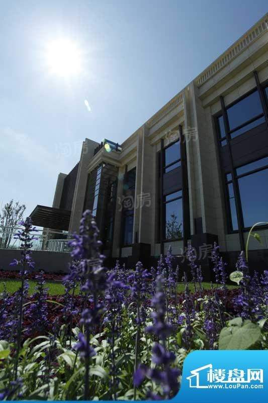 远洋海世纪实景图