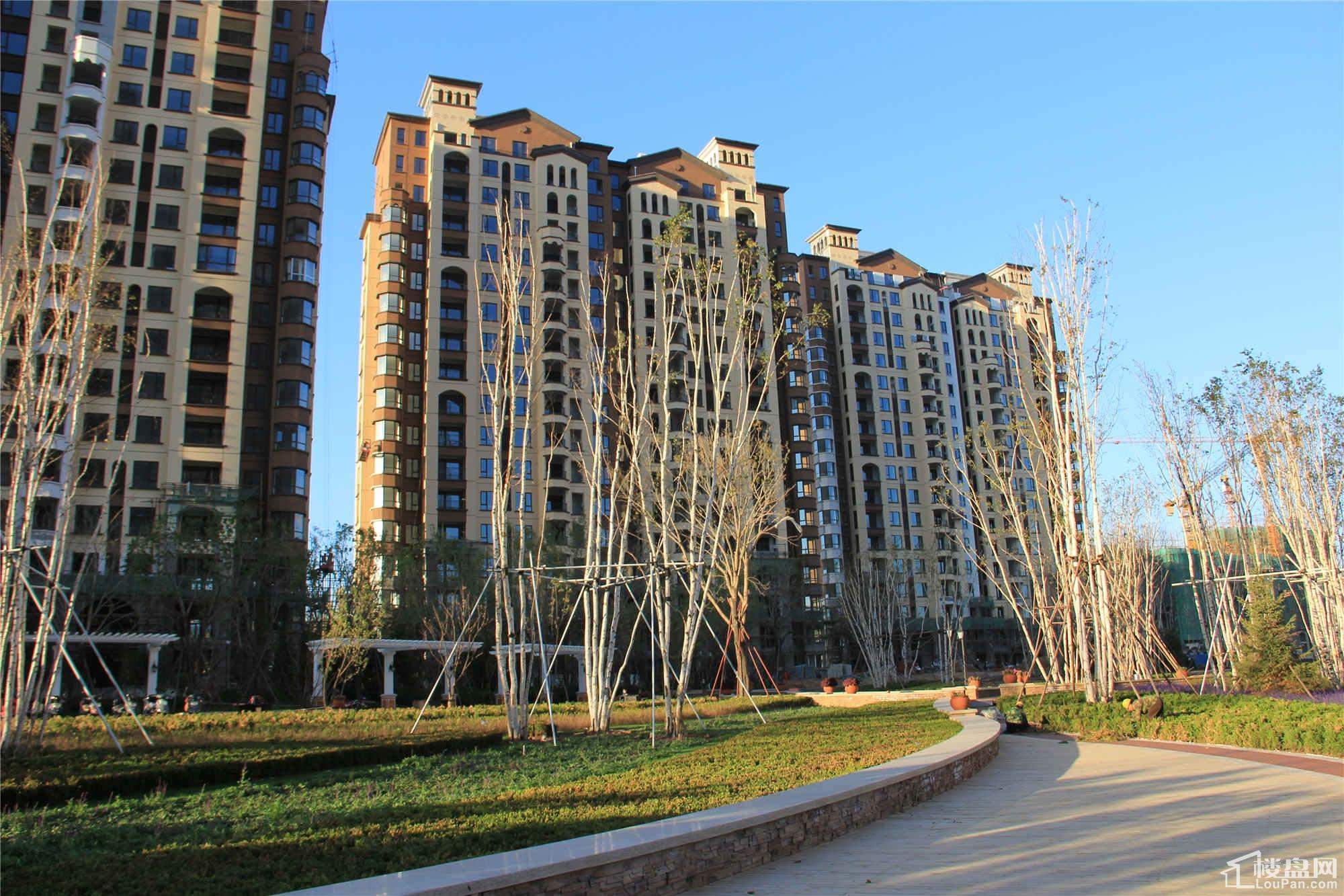 中铁秦皇半岛实景图