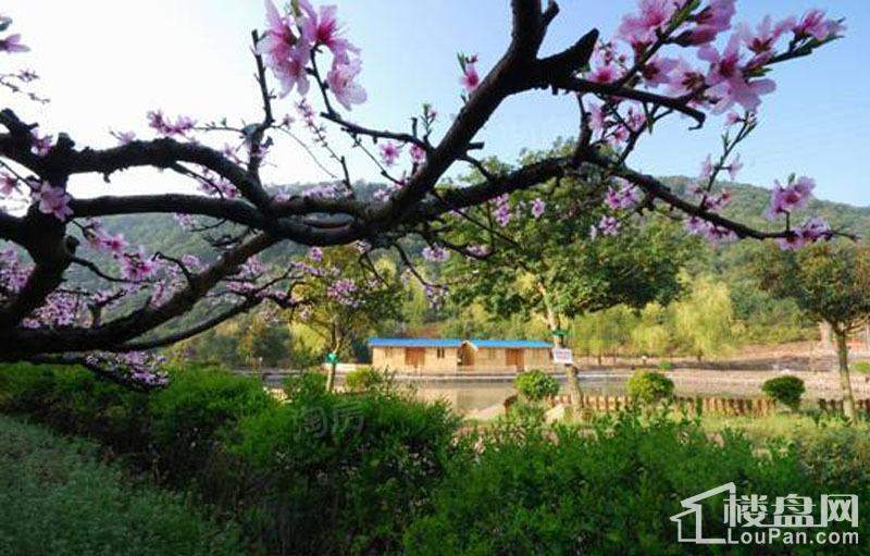 它山谷地配套图