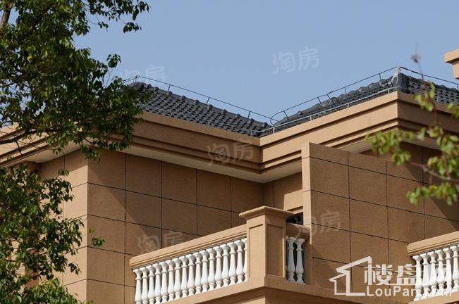 宝地梧桐别院实景图