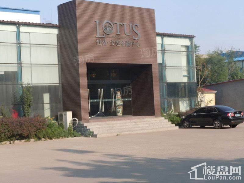 恒易宝莲金融中心实景图