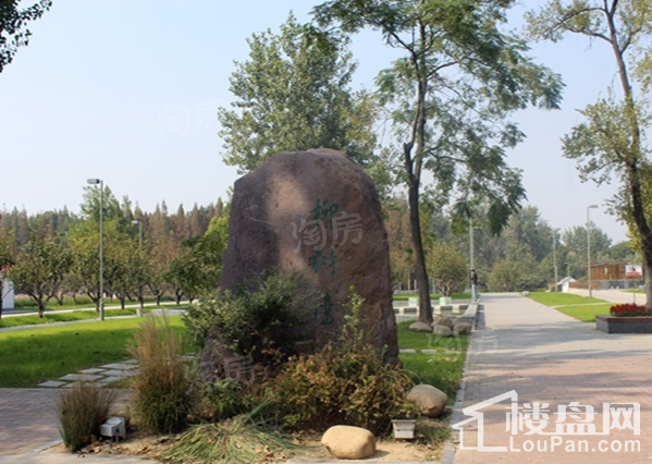 五洲龙湾B区实景图