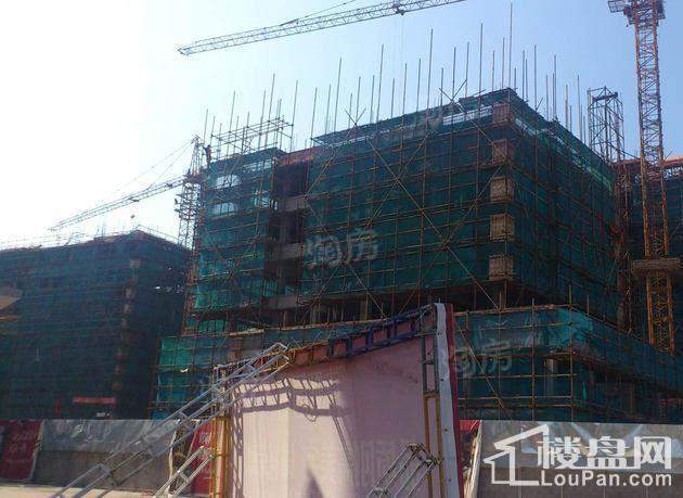 南熙园实景图