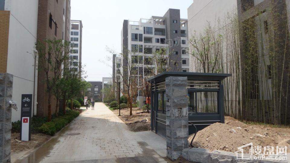 红豆国际城实景图