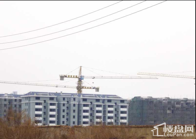 奥体国际星城实景图