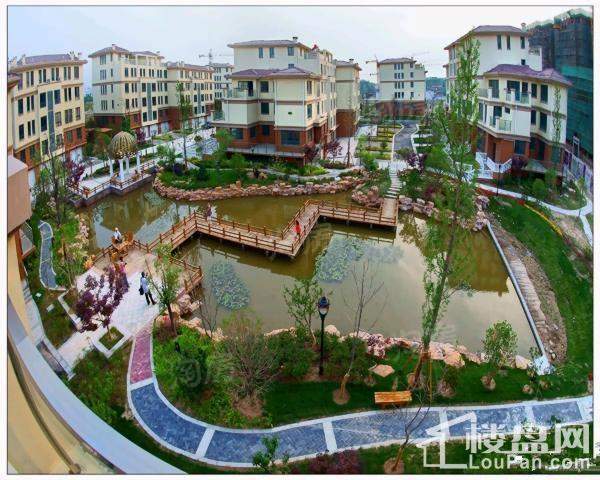 东湖怡景苑实景图