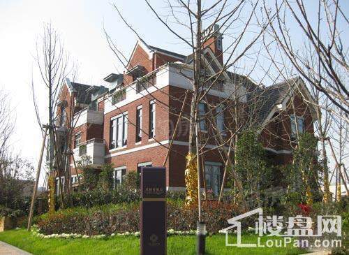 中海雍城世家英伦风情街实景图