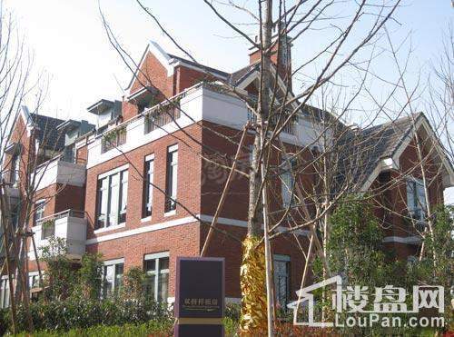 中海雍城世家英伦风情街实景图