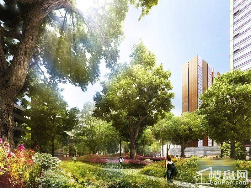 国锐金嵿实景图