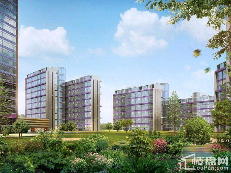 国锐金嵿实景图